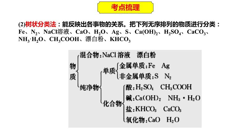 2023年人教版新教材安徽省高中化学学业水平考试复习第二单元  化学物质及其变化 课件第4页