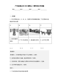 2023届广东省湛江市高三一模考试化学试题含解析