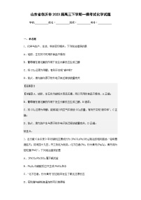 2023届山东省临沂市高三下学期一模考试化学试题含解析