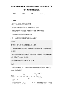 2022-2023学年四川省成都市高新区高三上学期毕业班“一诊”模拟检测化学试题含解析