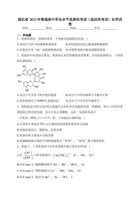 湖北省2023年普通高中学业水平选择性考试（适应性考试）化学试卷(含答案)