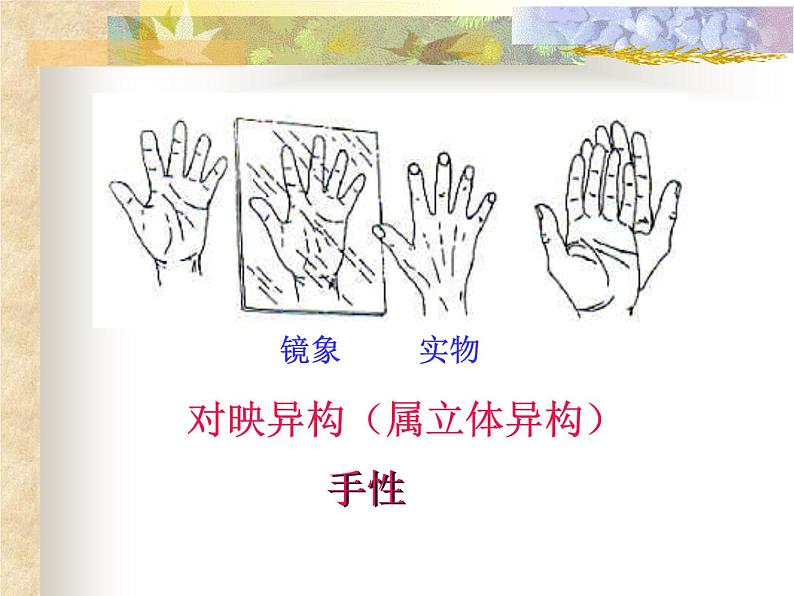 2021届苏高中化学竞赛理论辅导课件-有机化学（提升）03对映异构第3页