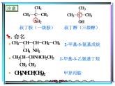 2021届苏高中化学竞赛理论辅导课件-有机化学（提升）12胺