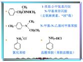 2021届苏高中化学竞赛理论辅导课件-有机化学（提升）12胺