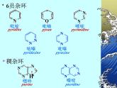 2021届苏高中化学竞赛理论辅导课件-有机化学（提升）13杂环化合物