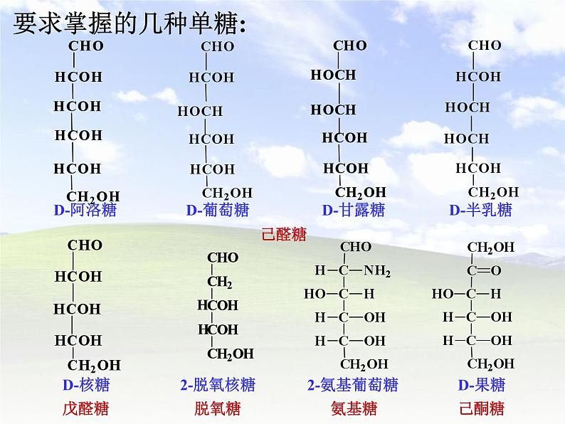 2021届苏高中化学竞赛理论辅导课件-有机化学（提升）14糖类第7页