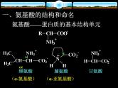 2021届苏高中化学竞赛理论辅导课件-有机化学（提升）16氨基酸
