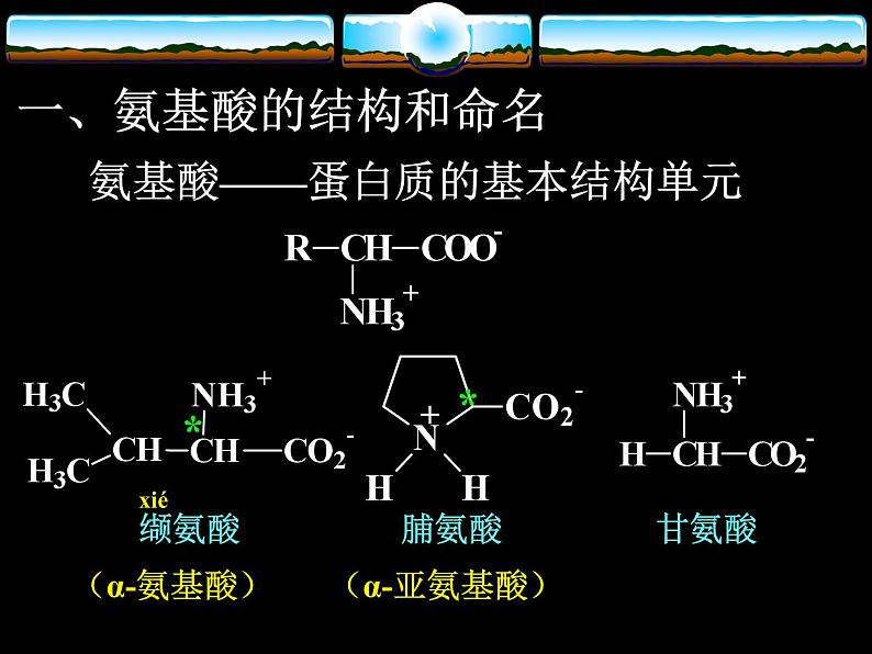 2021届苏高中化学竞赛理论辅导课件-有机化学（提升）16氨基酸03