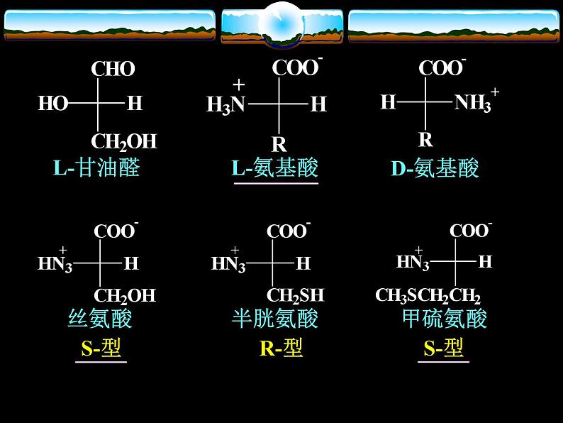 2021届苏高中化学竞赛理论辅导课件-有机化学（提升）16氨基酸04