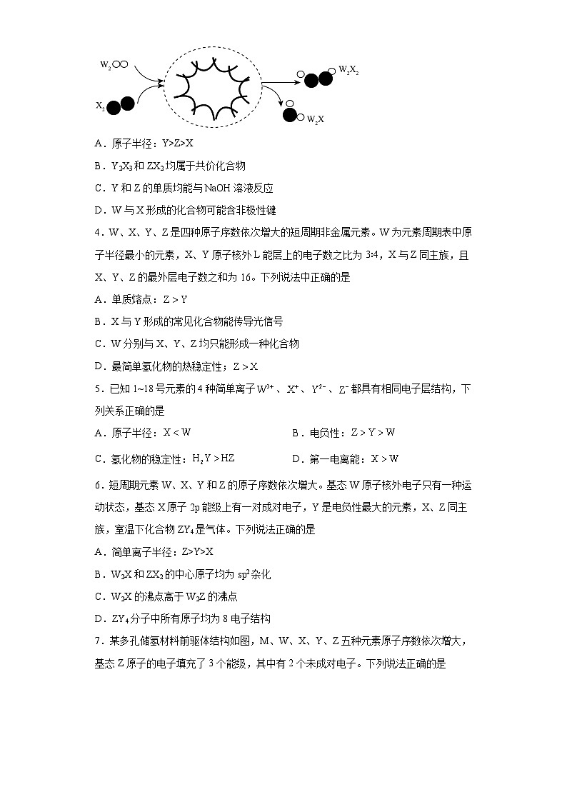 2024届高三化学高考备考一轮复习训练-元素周期表元素周期律第2页