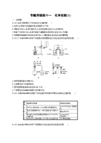 2023二轮复习专项练习（化学）专题突破练十一　化学实验(B)