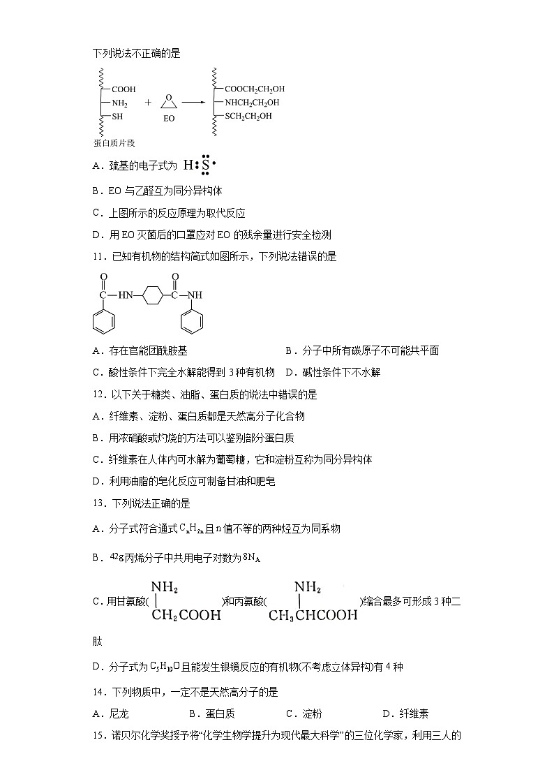 2024届高三化学一轮复习培优-蛋白质训练第3页