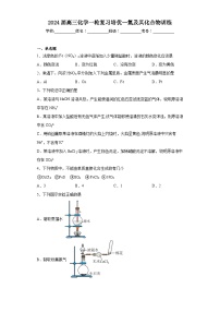 2024届高三化学一轮复习培优--氮及其化合物训练