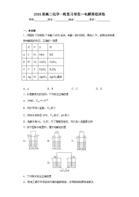 2024届高三化学一轮复习培优--电解原理训练