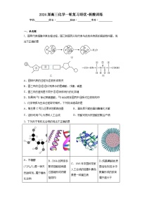 2024届高三化学一轮复习培优-核酸训练