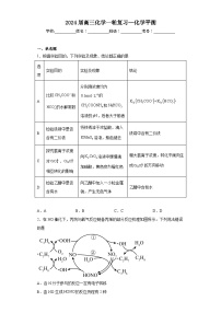 2024届高三化学一轮专题训练：化学平衡