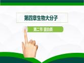 4.2 蛋白质 课件  下学期高二化学人教版（2019）选择性必修3