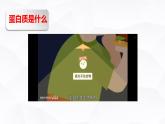 4.2 蛋白质 课件  下学期高二化学人教版（2019）选择性必修3