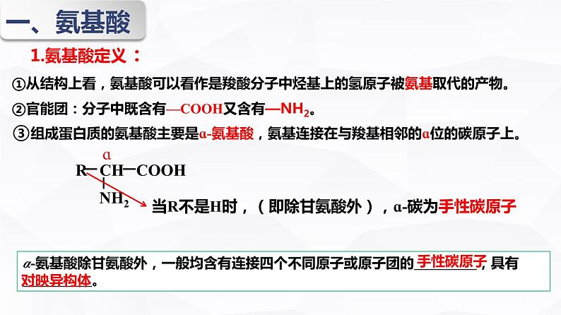 4.2 蛋白质 课件  下学期高二化学人教版（2019）选择性必修305