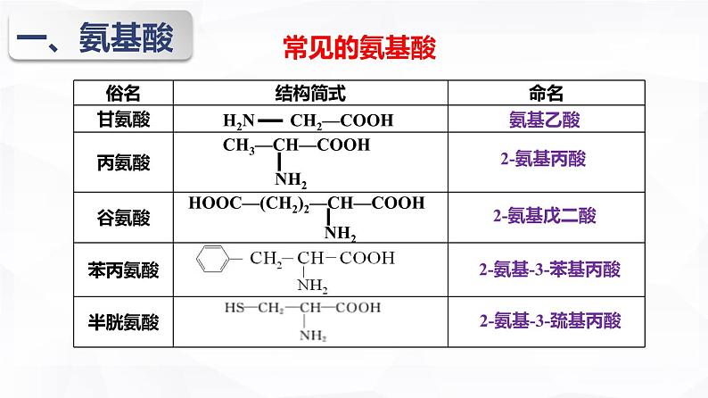 4.2 蛋白质 课件  下学期高二化学人教版（2019）选择性必修306