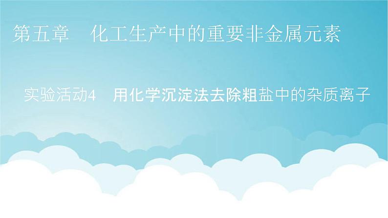 人教版高中化学必修第二册实验活动4用化学沉淀法去除粗盐中的杂质离子教学课件01