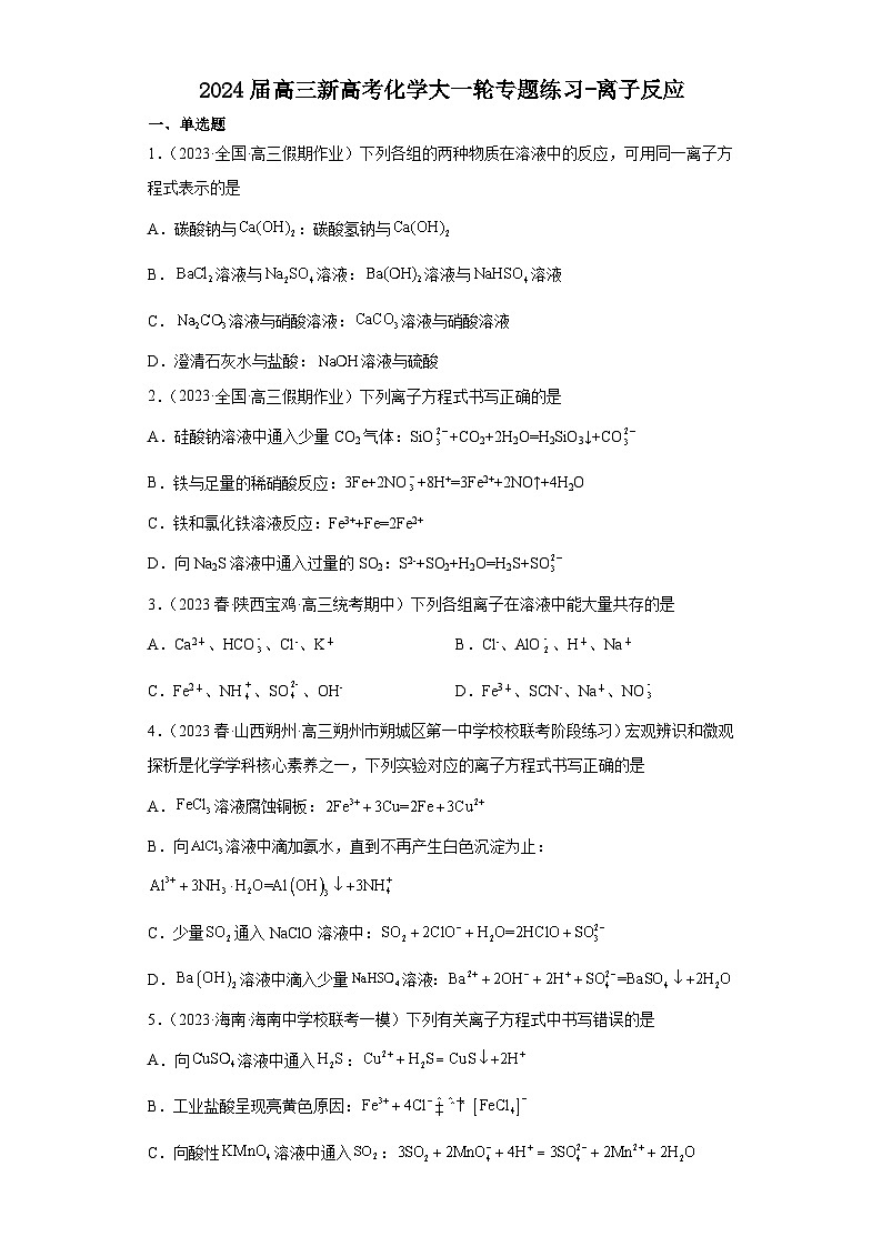 2024届高三新高考化学大一轮专题练习  离子反应第1页