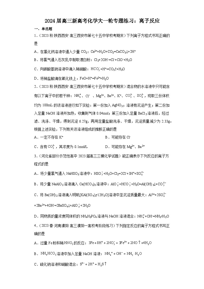 2024届高三新高考化学大一轮专题练习：离子反应第1页