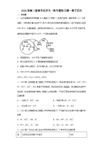 2024届高三新高考化学大一轮专题练习题—离子反应