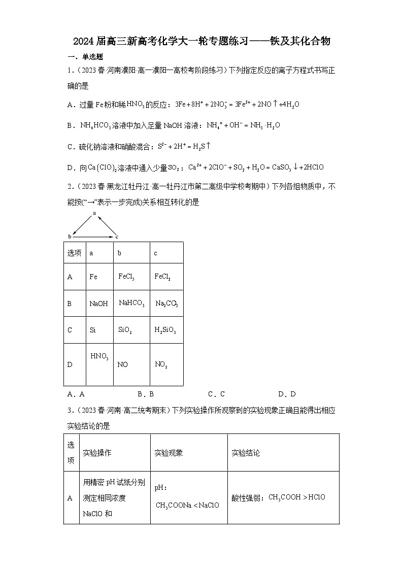 2024届高三新高考化学大一轮专题练习——铁及其化合物第1页