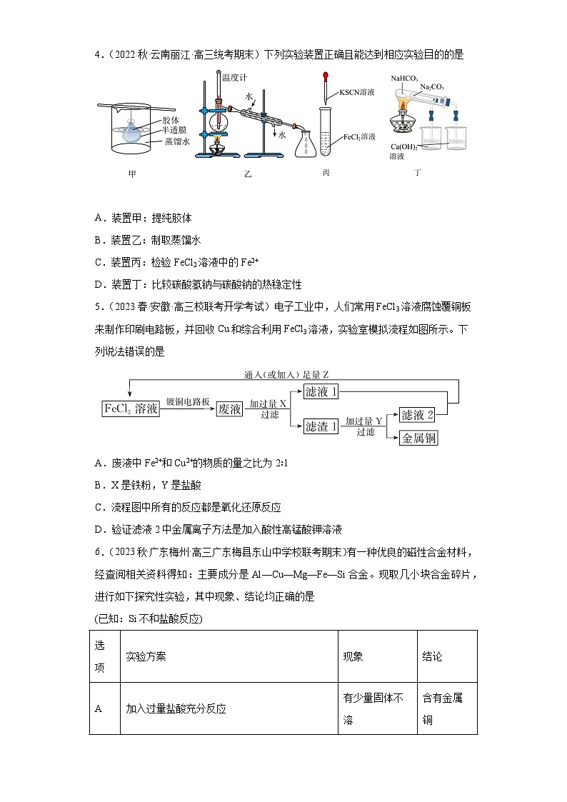 2024届高三新高考化学大一轮专题训练：铁及其化合物02