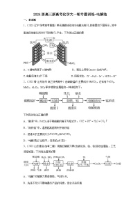 2024届高三新高考化学大一轮专题训练-电解池