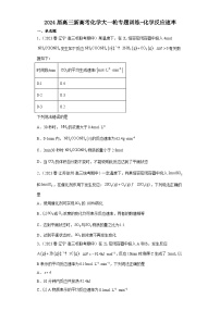 2024届高三新高考化学大一轮专题训练------化学反应速率