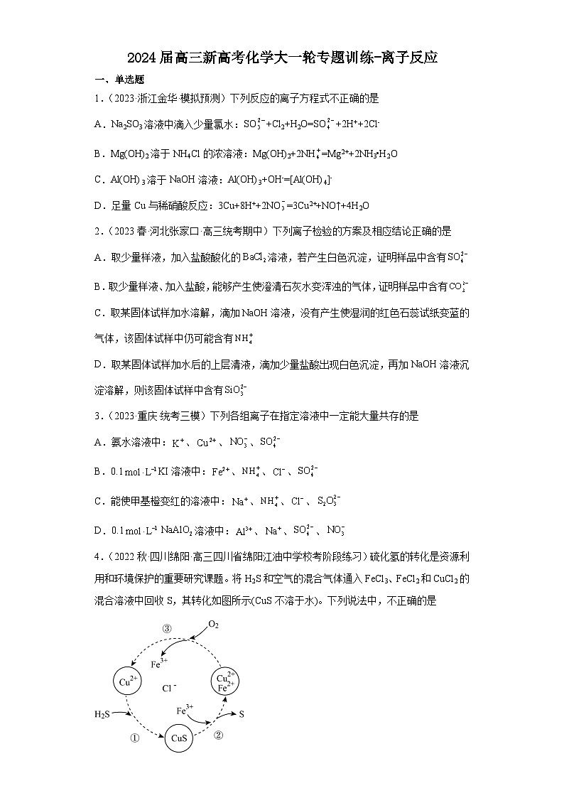 2024届高三新高考化学大一轮专题训练-离子反应第1页