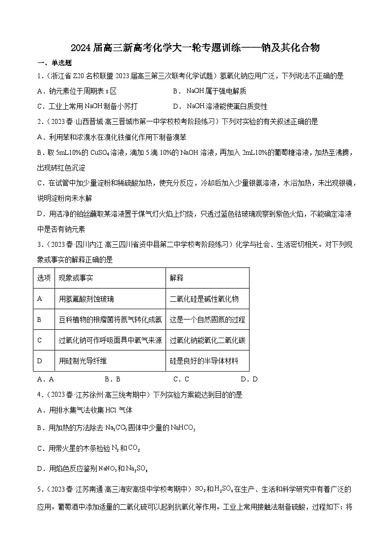 2024届高三新高考化学大一轮专题训练——钠及其化合物第1页