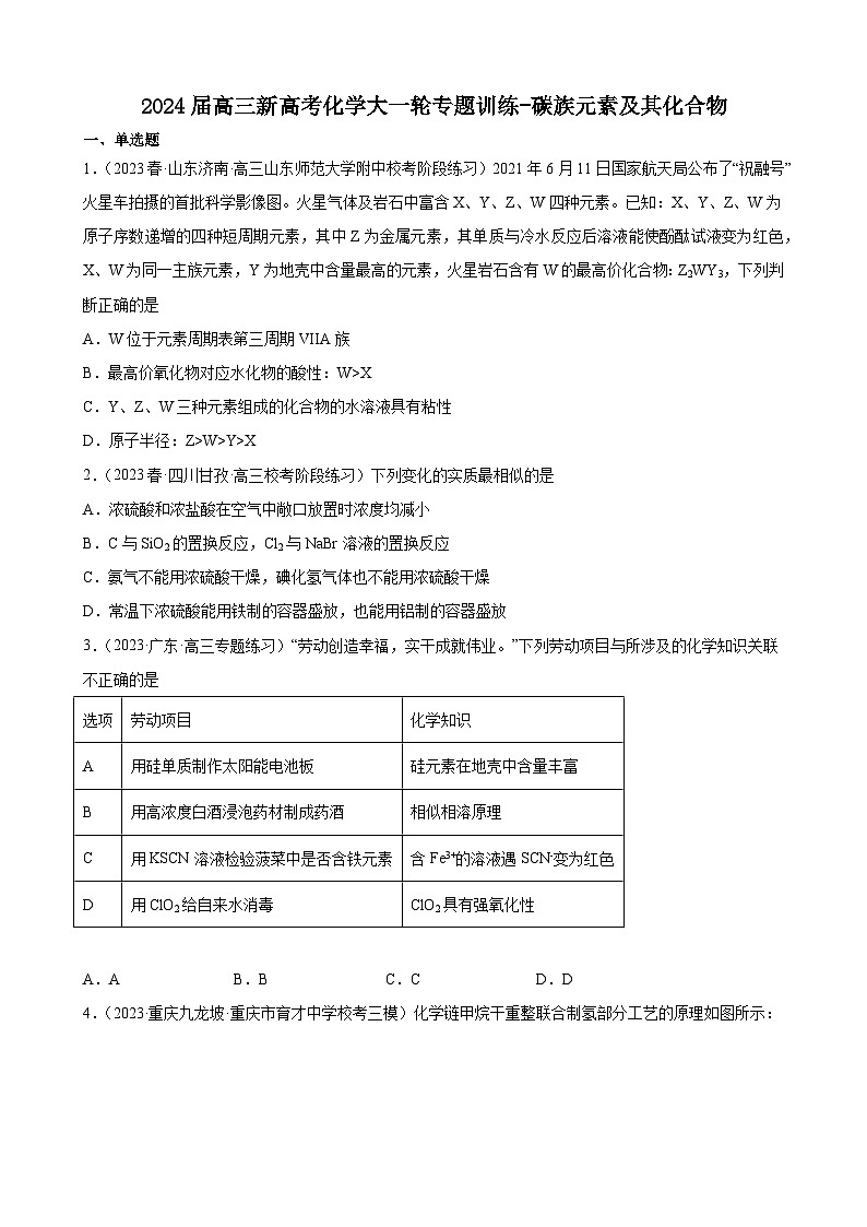 2024届高三新高考化学大一轮专题训练-碳族元素及其化合物01