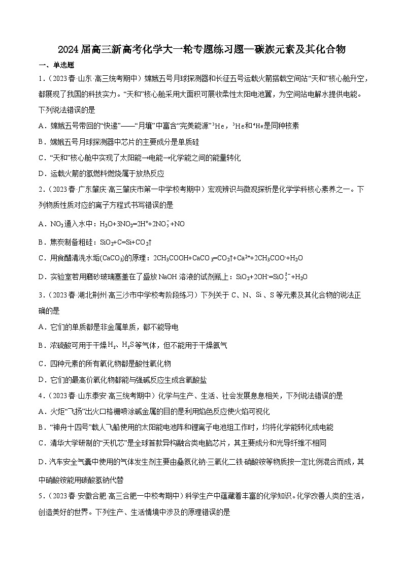 2024届高三新高考化学大一轮专题训练—碳族元素及其化合物第1页