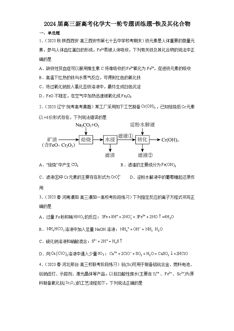 2024届高三新高考化学大一轮专题训练题-铁及其化合物第1页