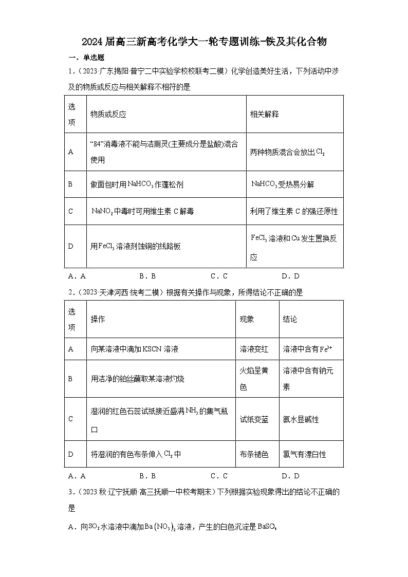 2024届高三新高考化学大一轮专题训练-铁及其化合物第1页