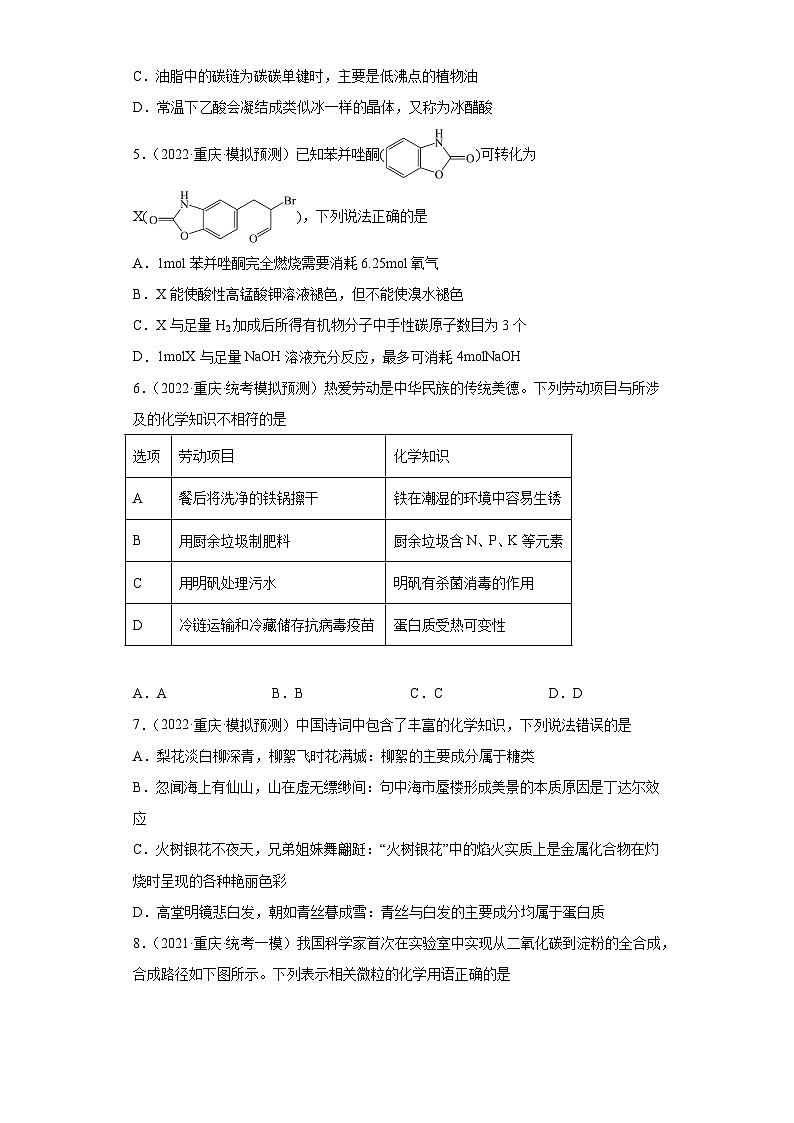 重庆市高考化学三年（2021-2023）模拟题汇编-27烃的衍生物（2）第2页