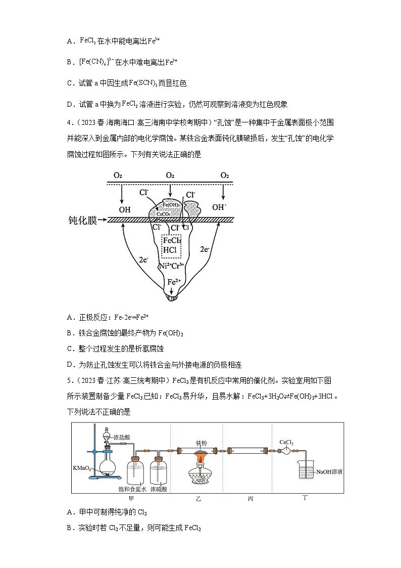 2024届高三新高考化学大一轮专题练习-铁及其化合物第2页