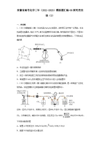 安徽省高考化学三年（2021-2023）模拟题汇编-55探究性实验（2）