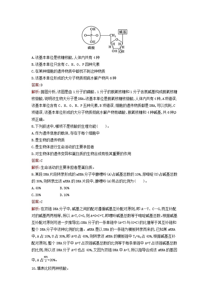 新教材2023年高中化学第4章生物大分子第3节核酸课后习题新人教版选择性必修303