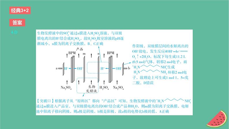 2024版高考化学一轮复习专题基础练专题九化学反应与电能考点27电解池作业课件第8页