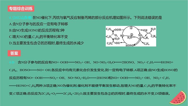 2024版高考化学一轮复习专题基础练专题四非金属及其化合物专题综合训练作业课件第5页