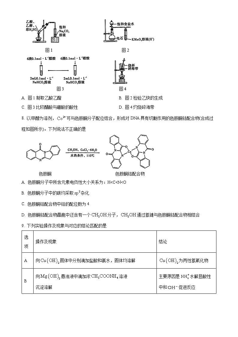 重庆市南开名校高2023届高三下学期第十次质量检测化学试题（解析版+原卷版）03