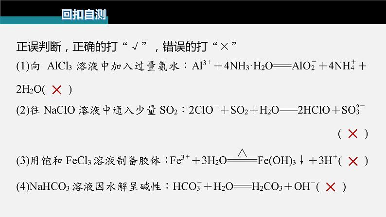 新高考版高考化学二轮复习（新高考版） 第1部分 专题突破  专题3　离子方程式的书写及正误判断课件PPT第3页