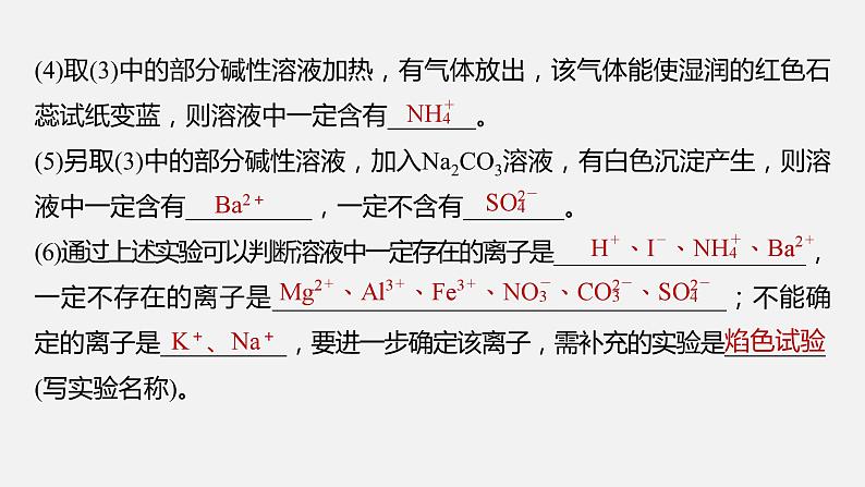 新高考版高考化学二轮复习（新高考版） 第1部分 专题突破  专题4　离子共存与离子推断课件PPT06