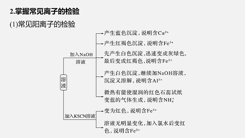 新高考版高考化学二轮复习（新高考版） 第1部分 专题突破  专题4　离子共存与离子推断课件PPT08