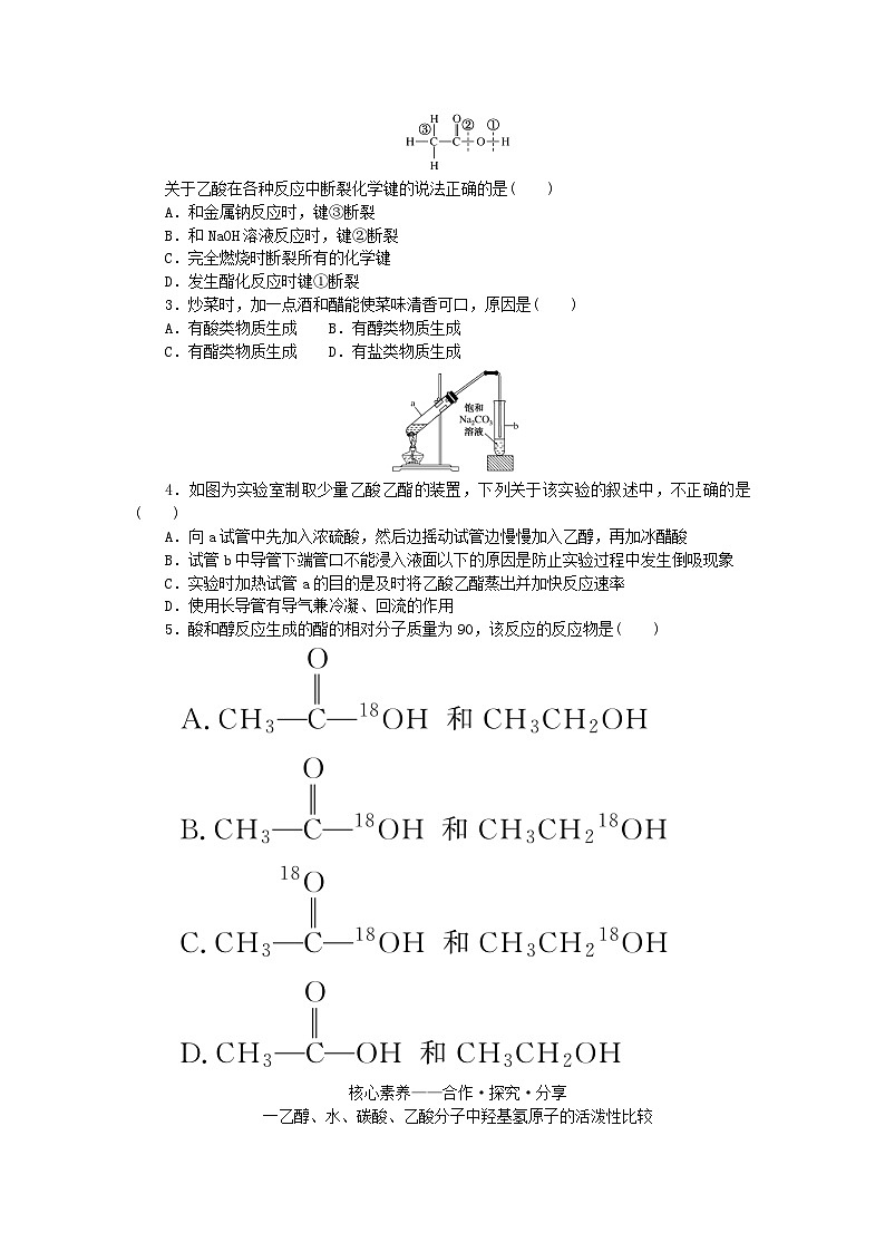 新教材2023版高中化学第3章简单的有机化合物第3节饮食中的有机化合物第2课时乙酸学案鲁科版必修第二册03