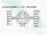 人教B版高中化学必修第一册第3章铁金属材料微专题5“铁三角”的相互转化及应用课件